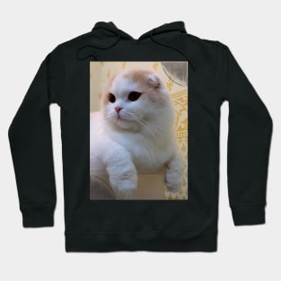 Jr the cute cats Hoodie